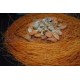 Vermicelli Roasted (Shemai)